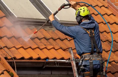 Démoussage et hydrofuge de toiture à Flumet